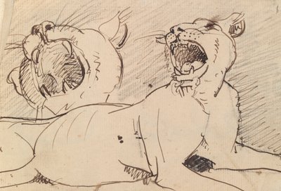 Estudo de uma Lioness de Benjamin Robert Haydon