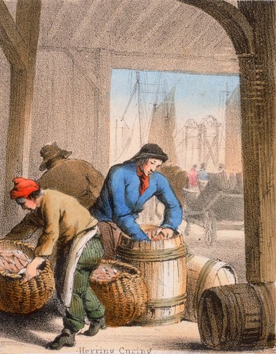 Cura de Arenque, c1845 de Benjamin Waterhouse Hawkins