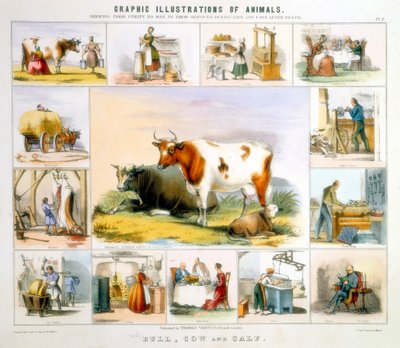 A vaca, c1850 de Benjamin Waterhouse Hawkins