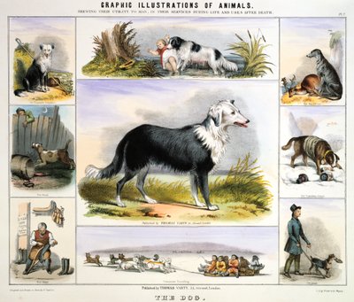 O cão, c1850 de Benjamin Waterhouse Hawkins