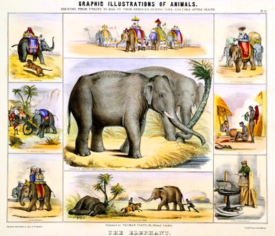 O elefante, c1850 de Benjamin Waterhouse Hawkins