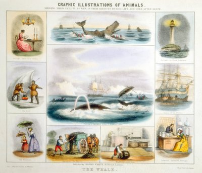 A baleia, c1850 de Benjamin Waterhouse Hawkins
