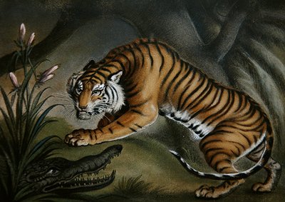 Tigre e Crocodilo, c.1810 (fotografia de areia a bordo) de Benjamin Zobel