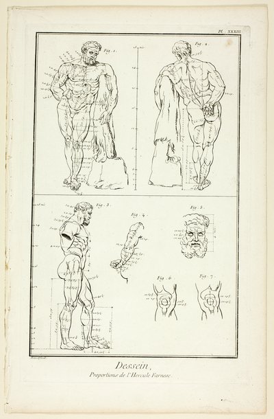 Desenho: Proporções do Hércules Farnese, da Encyclopédie de Benoit Louis Prevost