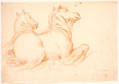 Dois cavalos-marinhos de Benoît Le Coffre