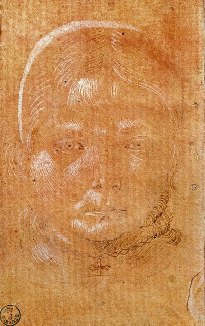 Cabeça de uma jovem garota (giz e tinta no papel) de Benozzo di Lese di Sandro Gozzoli