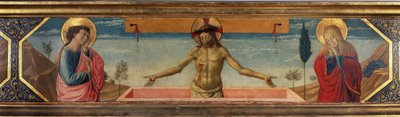 Imagem desconhecida de Benozzo di Lese di Sandro Gozzoli