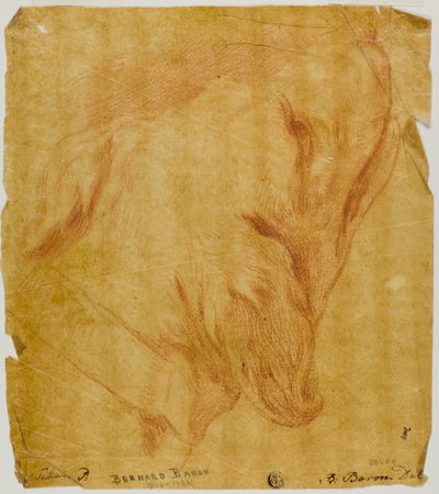 Cabeça de um cão de Bernard Baron