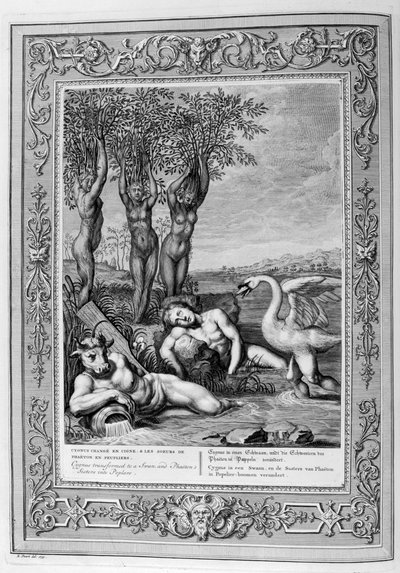 Cygnus transformado em cisne e irmãs Phaetons em choupos, 1733 de Bernard Picart