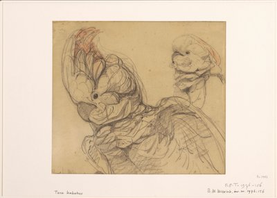 Duas cacatuas, meia vida de Bernard Willem Wierink