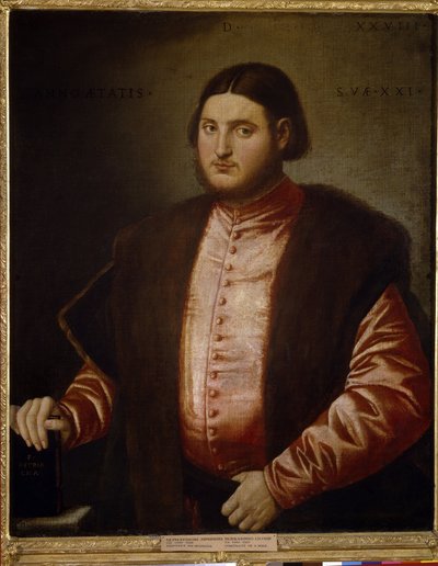 Retrato de um homem. Pintura de Bernardino Licinio (c. 1489-c. 1565), óleo sobre tela de Bernardino Licinio