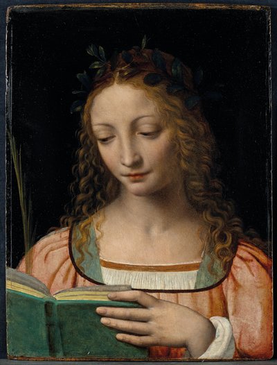 Figura do comprimento do busto de santo, com uma palma e lendo as escrituras de Bernardino Luini