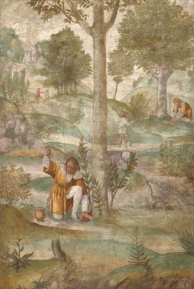  de Bernardino Luini