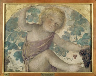 Colheita putti - Colocado debaixo de uma pérgola, c.1514 (fresco destacado transportado a bordo) de Bernardino Luini