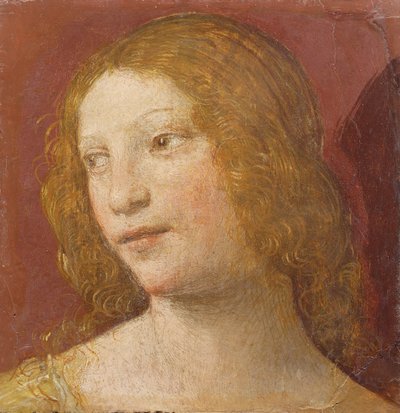 Cabeça de uma jovem mulher de Bernardino Luini