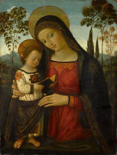 Madonna and Child, por volta de 1490-1495 (tempera no painel) de Bernardino di Betto Pinturicchio