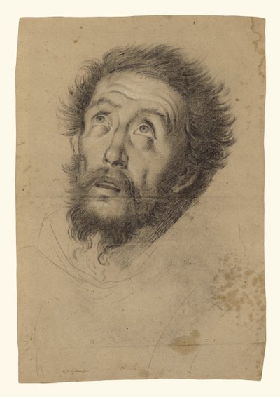 Cabeça de São Francisco (anverso); Estudos da cabeça de São Francisco, cabeça de um velho e duas mãos direitas (verso) de Bernardo Strozzi