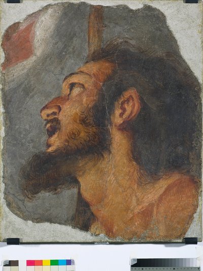 Cabeça de São João Batista Fragmento de afresco destacado, 1622 de Bernardo Strozzi