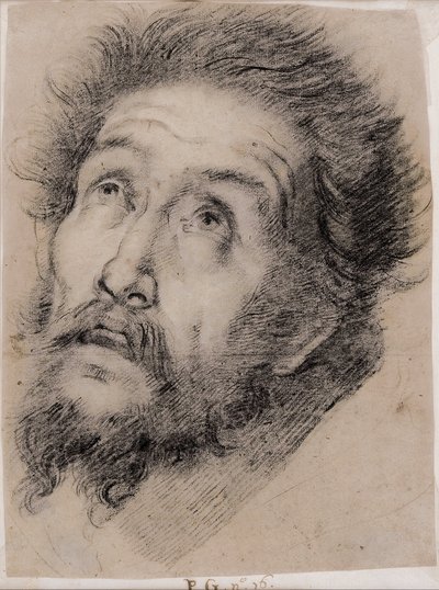 Estudo para São Francisco de Assis adorando a cruz de Bernardo Strozzi