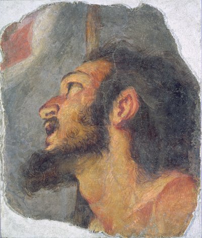 A cabeça de São João Batista, fragmento de um afresco de Bernardo Strozzi