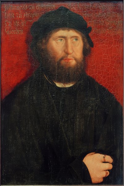 Retrato de Johann I Conde de Montfort-Rothenfels de Bernhard Strigel