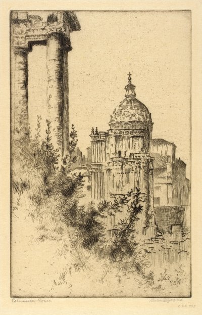 Colunas, Fórum Romano de Bertha E. Jaques