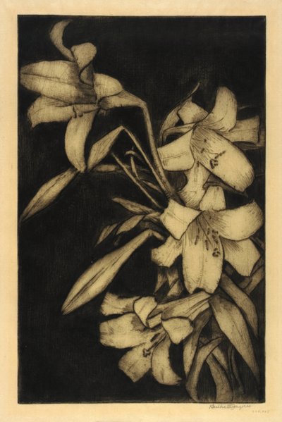 Páscoa, ou Madonna, Lírios de Bertha E. Jaques
