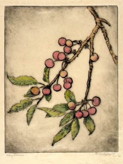 Cerejas de maio de Bertha E. Jaques