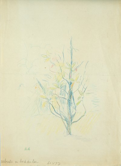 Arbustos à beira do lago, 1893 (lápis de cor sobre papel) de Berthe Morisot