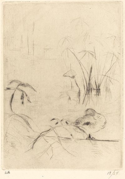 Patos em repouso no banco, 18881890. de Berthe Morisot