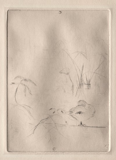 O pato de Berthe Morisot