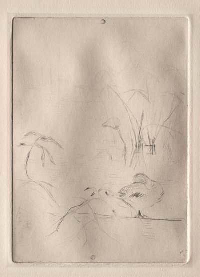 O Pato de Berthe Morisot