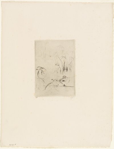 O Pato de Berthe Morisot