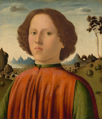 Retrato de um menino, c. 14761480. de Biagio d