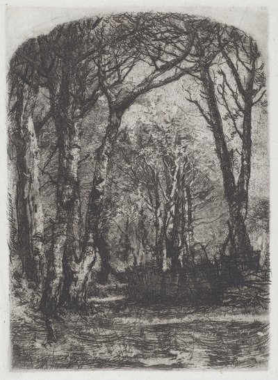 Woods [Bosco], c.1895. de Bianchi Mose