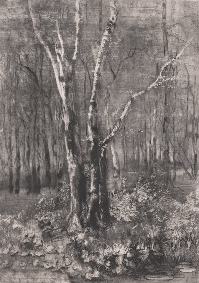 Bosques no Parque perto de Monza, 1895. de Bianchi Mose