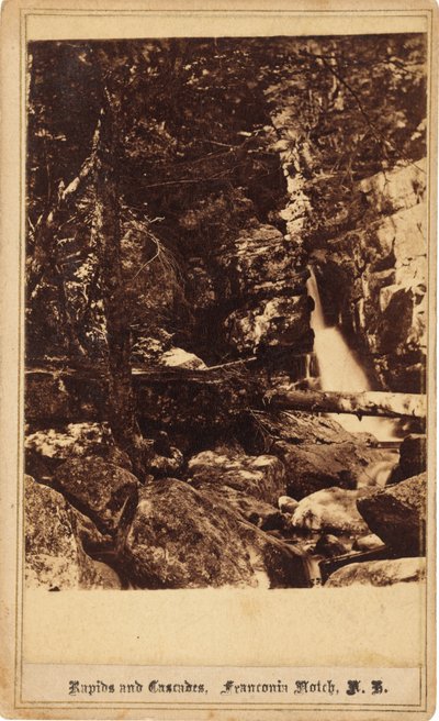 Rapids and Cascades, Franconia Notch, New Hampshire de Bierstadt Brothers