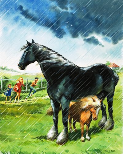 Potro a proteger-se do mau tempo debaixo de outro cavalo de Bill Lacey