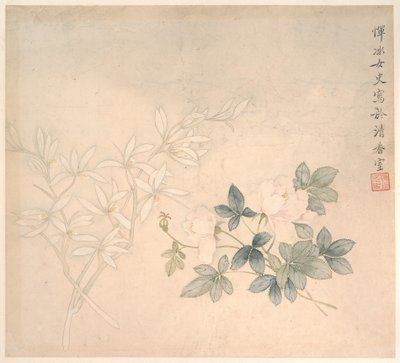 Estudo das flores de Bing Yun