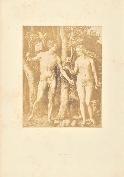 Adão e Eva de Bisson Frères
