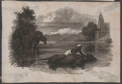Agricultores transportam gado morto, ca. 1850 (gravura) de Blasius Höfel