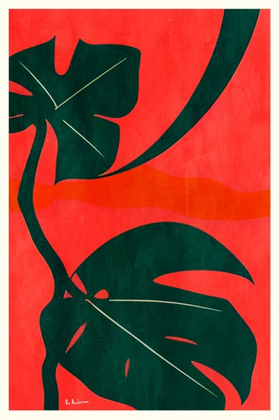 Folhas de Monstera da Selva de Bo Anderson