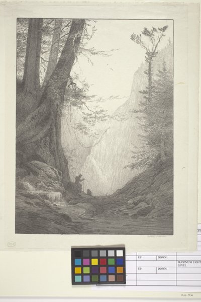 Cedros grandes (tinta sobre papel, litografia) de Bolton Coit Brown