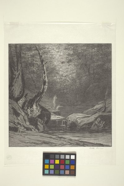 Árvore torta (tinta sobre papel) de Bolton Coit Brown