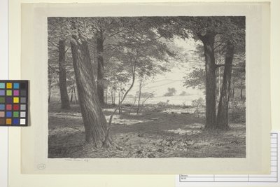 Edge Of The Woods (tinta sobre papel) de Bolton Coit Brown