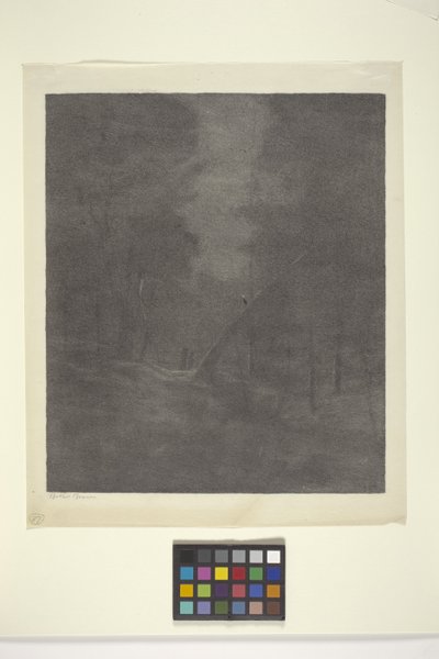 Madeira Moonlight Woods (tinta sobre papel) de Bolton Coit Brown