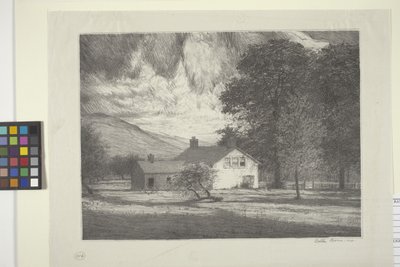 My House (tinta sobre papel) de Bolton Coit Brown