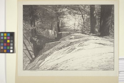 Rochas e Árvores (tinta sobre papel) de Bolton Coit Brown