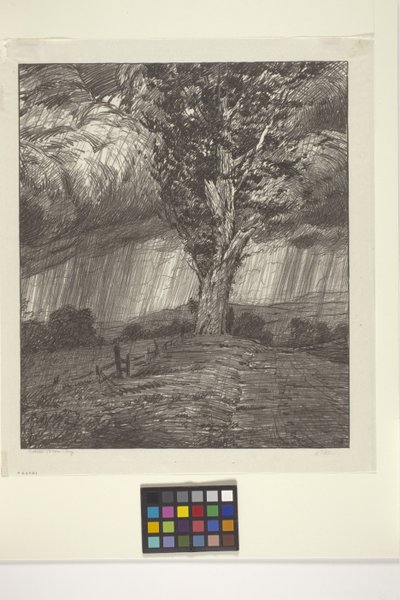 Tempestade (tinta sobre papel) de Bolton Coit Brown