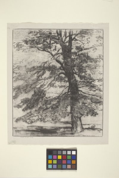 Bordo de açúcar (tinta sobre papel) de Bolton Coit Brown